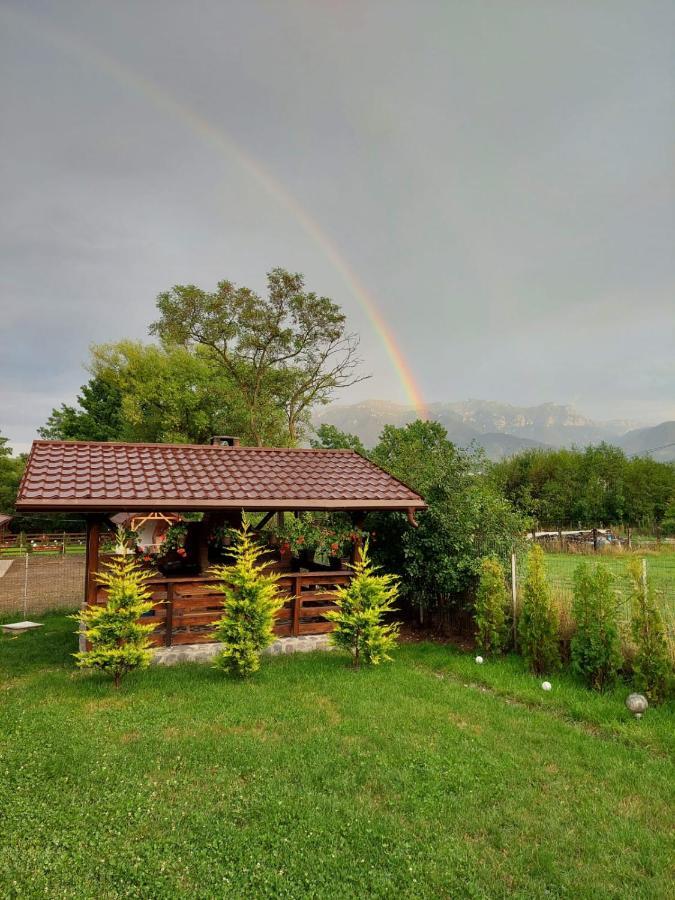 Casuta Vulpitei Villa Predelut